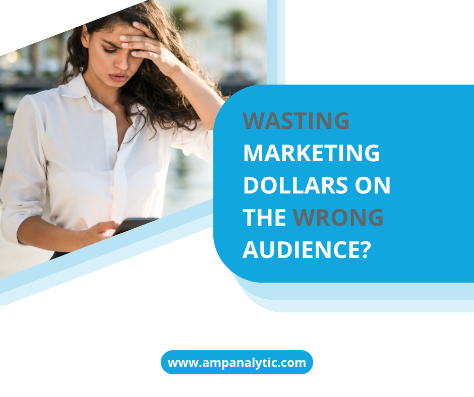 Wasting Marketing Dollars on the Wrong Audience